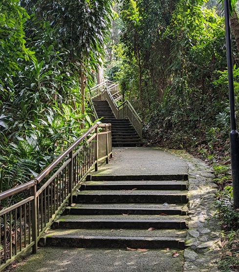 mt-faber3