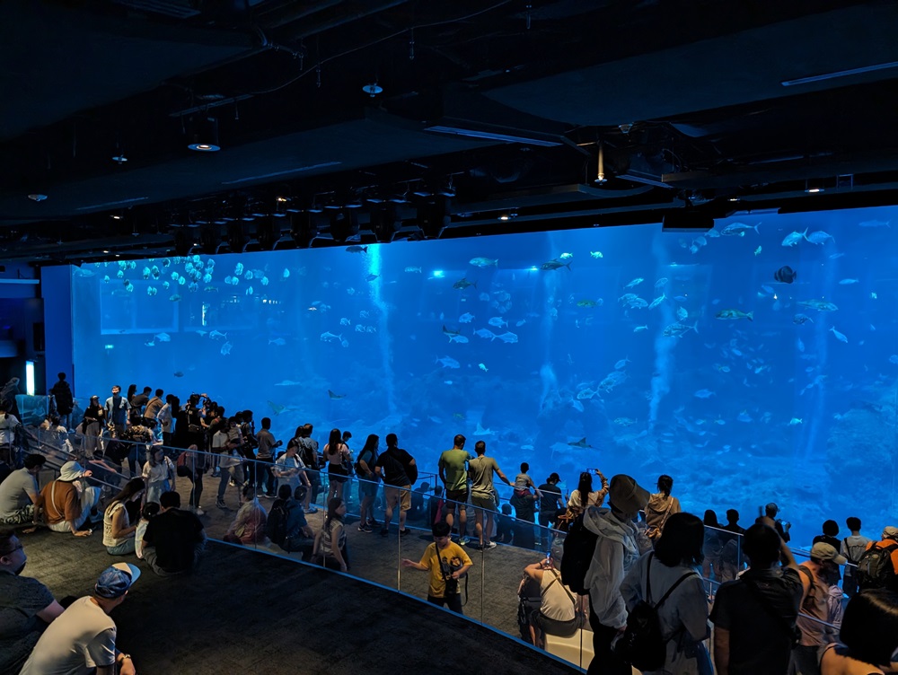 sea aquarium